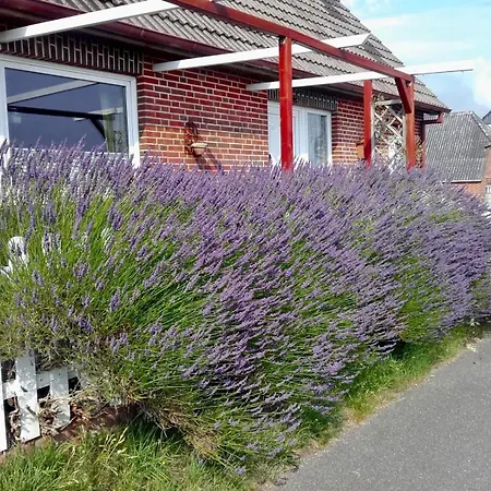 Unser Haus Am Deich - Meerblick Lejlighed *